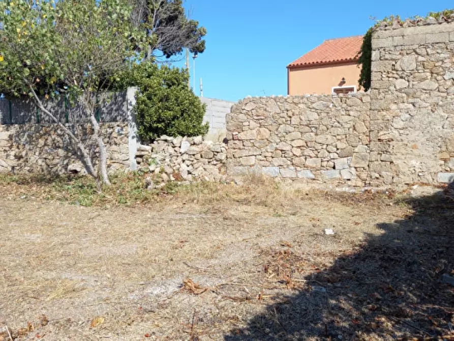 Immagine 8 di Terreno in vendita  in Regione Mongiardino a La Maddalena