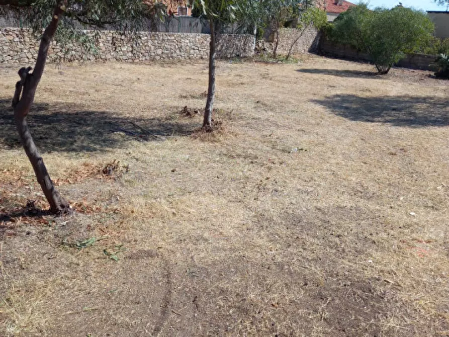 Immagine 9 di Terreno in vendita  in Regione Mongiardino a La Maddalena