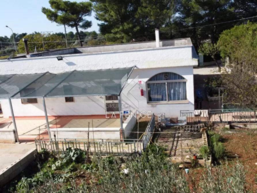 Immagine 2 di Villa in vendita  in san domenico dello scagno a Martina Franca