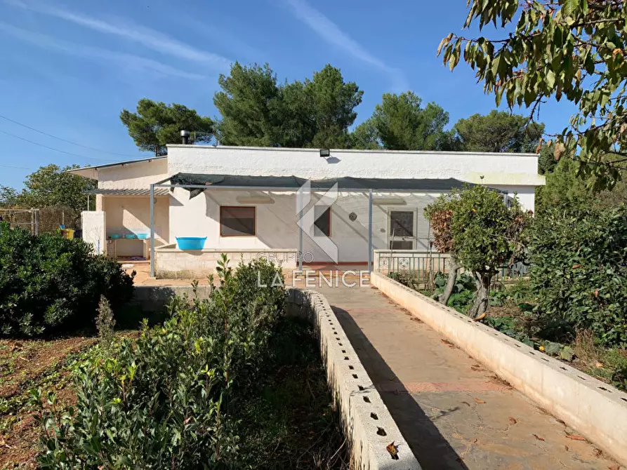 Immagine 6 di Villa in vendita  in san domenico dello scagno a Martina Franca