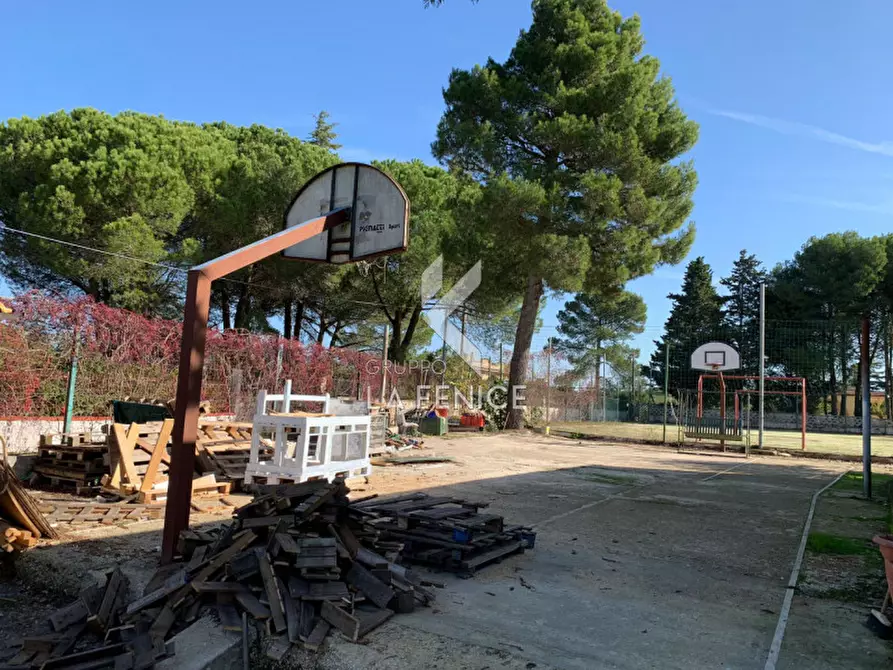 Immagine 11 di Villa in vendita  in san domenico dello scagno a Martina Franca