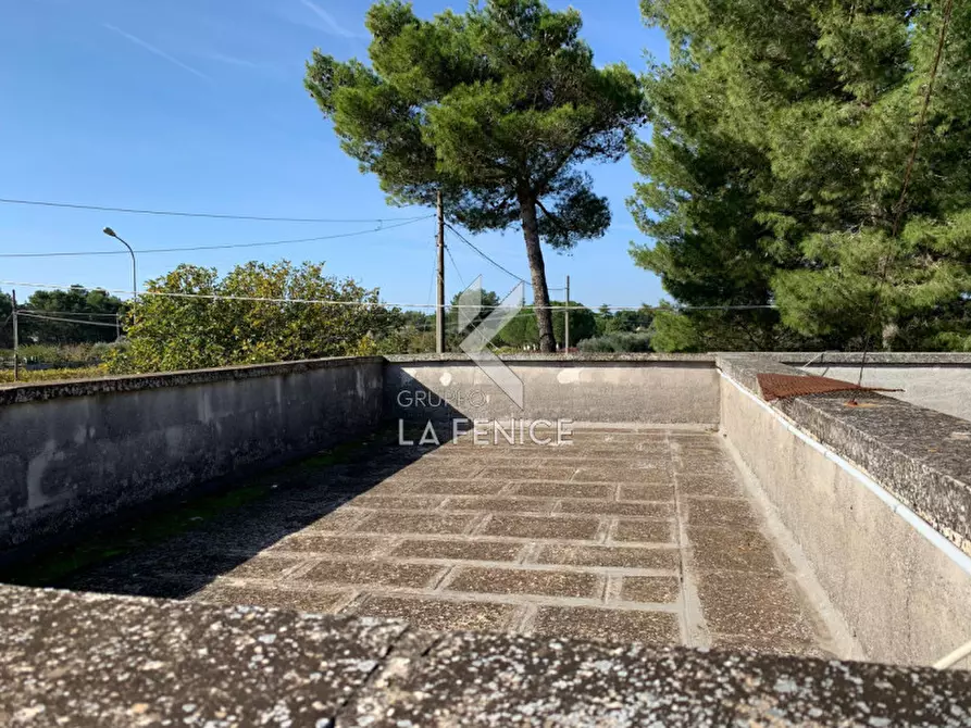 Immagine 15 di Villa in vendita  in san domenico dello scagno a Martina Franca
