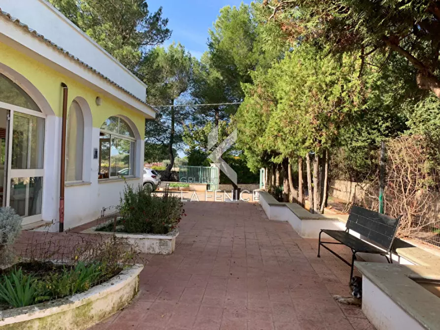 Immagine 20 di Villa in vendita  in san domenico dello scagno a Martina Franca