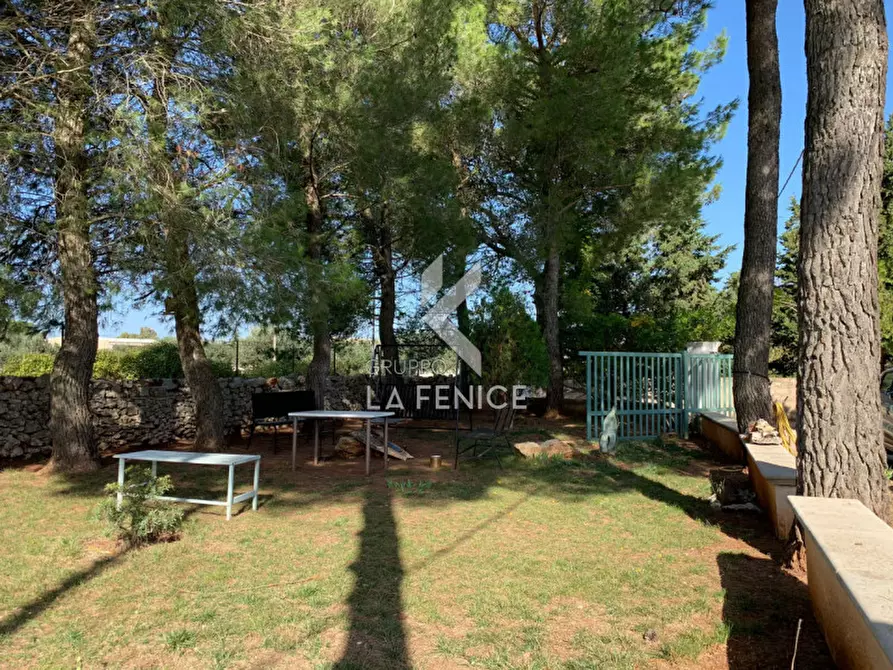 Immagine 22 di Villa in vendita  in san domenico dello scagno a Martina Franca