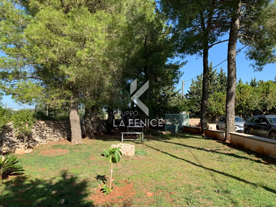 Immagine 41 di Villa in vendita  in san domenico dello scagno a Martina Franca