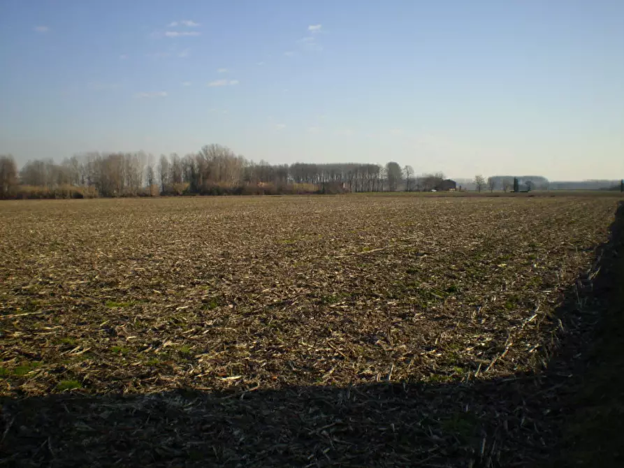 Immagine 1 di Terreno in vendita  in Via Ippolito Nievo a Camposampiero