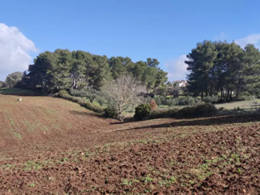 Immagine 1 di Terreno in vendita  a Martina Franca