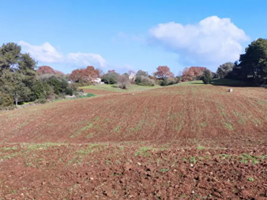 Immagine 2 di Terreno in vendita  a Martina Franca