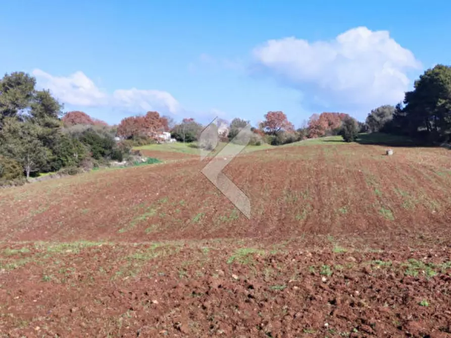 Immagine 3 di Terreno in vendita  a Martina Franca