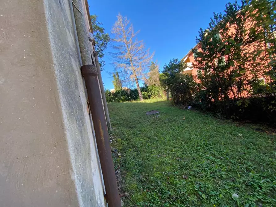 Immagine 11 di Appartamento in vendita  a San Costanzo