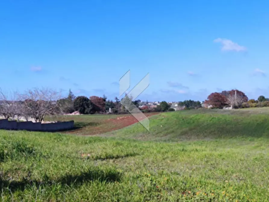 Immagine 3 di Terreno in vendita  a Martina Franca