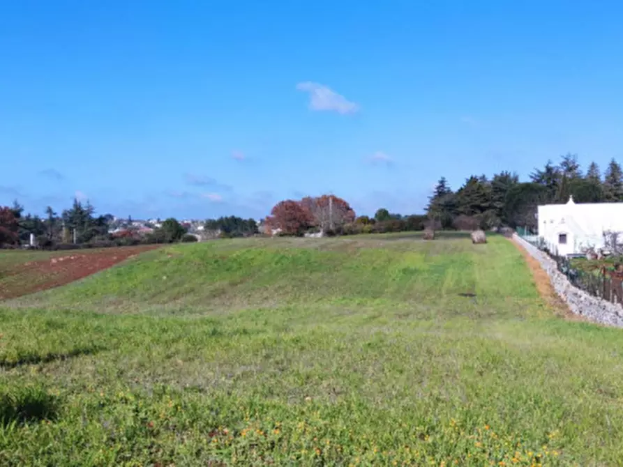 Immagine 4 di Terreno in vendita  a Martina Franca