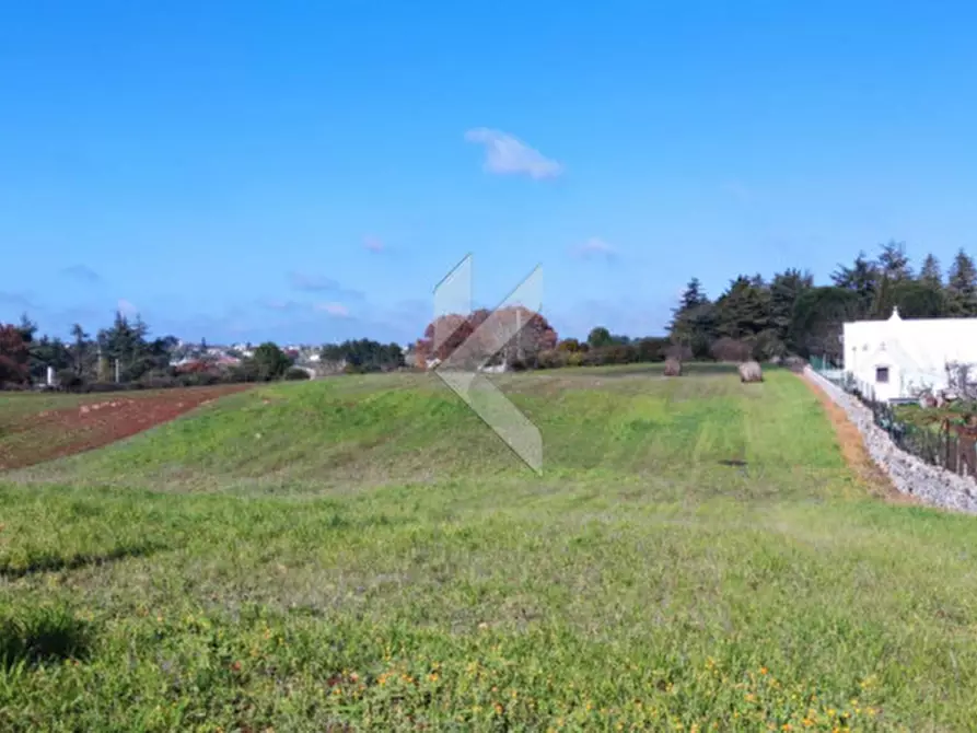 Immagine 5 di Terreno in vendita  a Martina Franca