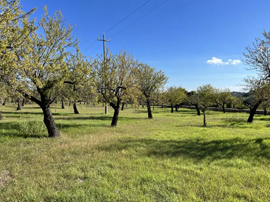 Immagine 1 di Terreno in vendita  in Contrada Bochini a Avola