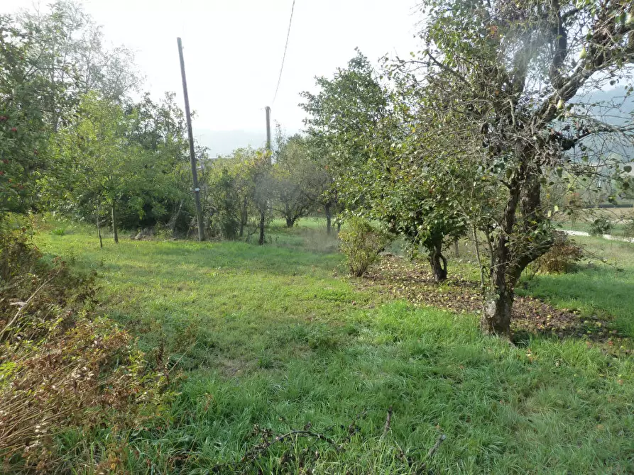 Immagine 11 di Casa indipendente in vendita  in Via Cerro 23 a Murisengo
