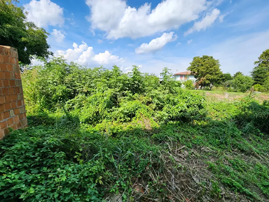 Immagine 18 di Villetta a schiera in vendita  in Pontelongo a Pontelongo