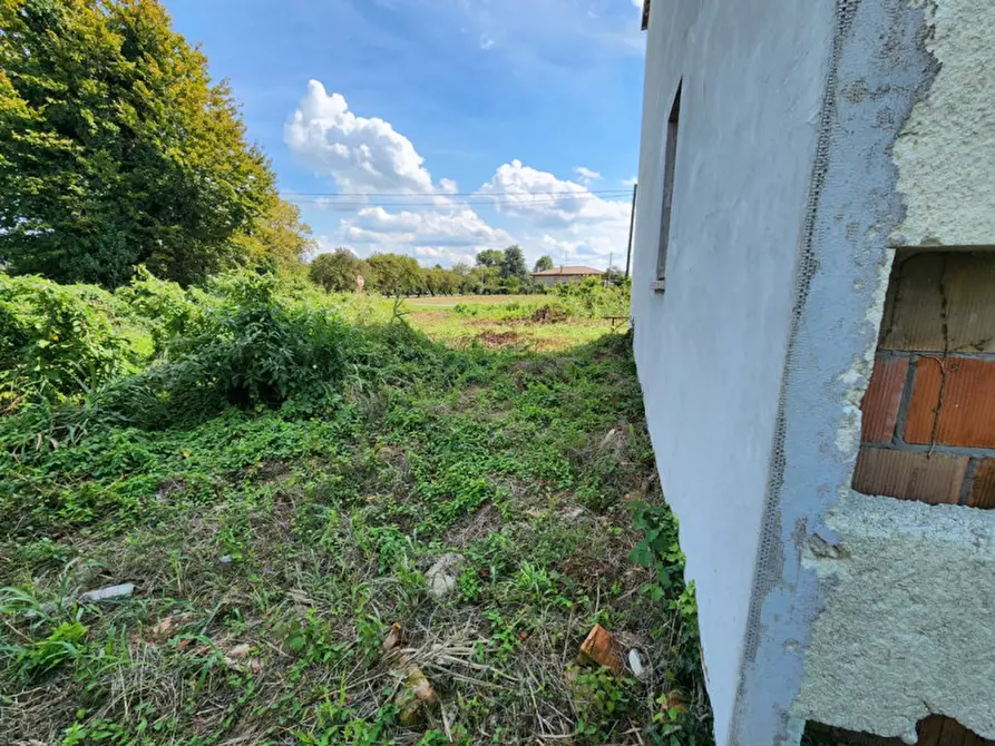 Immagine 21 di Villetta a schiera in vendita  in Pontelongo a Pontelongo