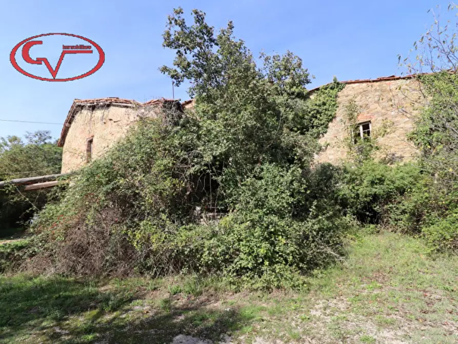 Immagine 6 di Rustico / casale in vendita  in capannole a Bucine