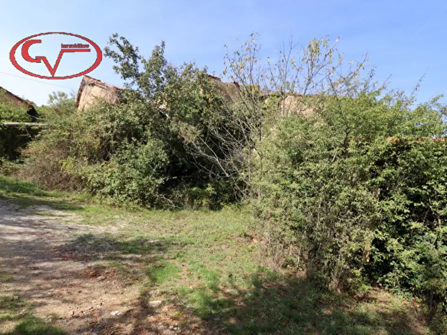 Immagine 9 di Rustico / casale in vendita  in capannole a Bucine