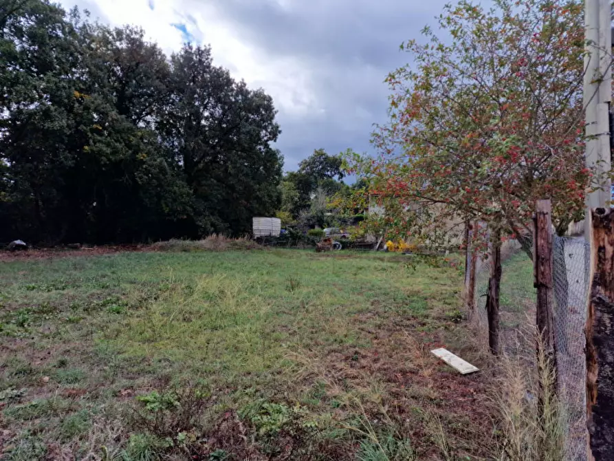 Immagine 4 di Terreno in vendita  in Via Pasturana boccea a Roma