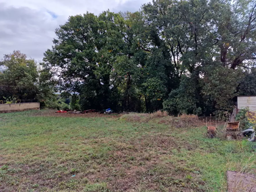 Immagine 13 di Terreno in vendita  in Via Pasturana boccea a Roma