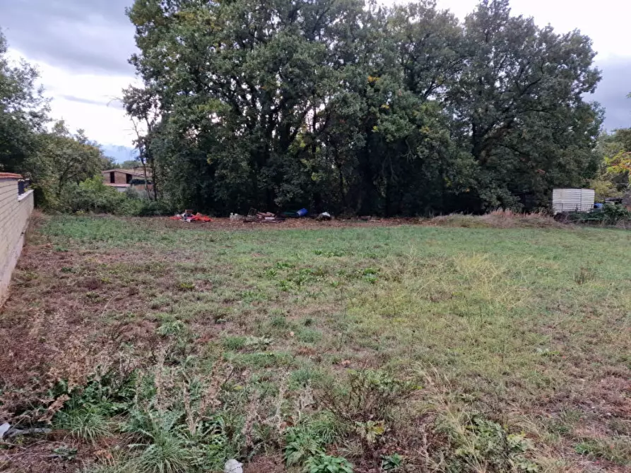 Immagine 15 di Terreno in vendita  in Via Pasturana boccea a Roma