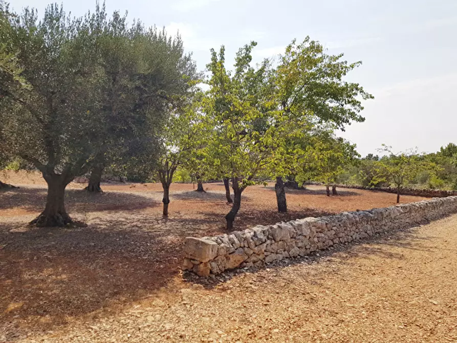 Immagine 2 di Rustico / casale in vendita  a Martina Franca