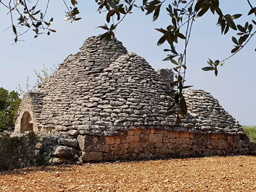 Immagine 4 di Rustico / casale in vendita  a Martina Franca