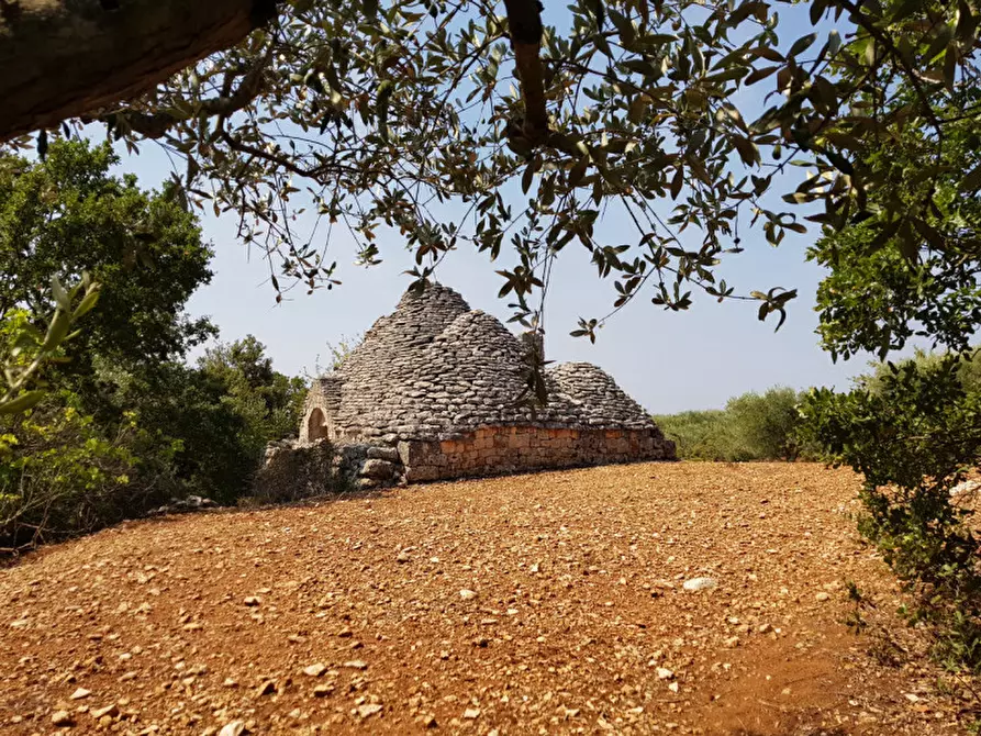 Immagine 5 di Rustico / casale in vendita  a Martina Franca