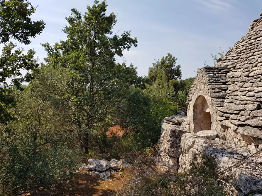 Immagine 6 di Rustico / casale in vendita  a Martina Franca