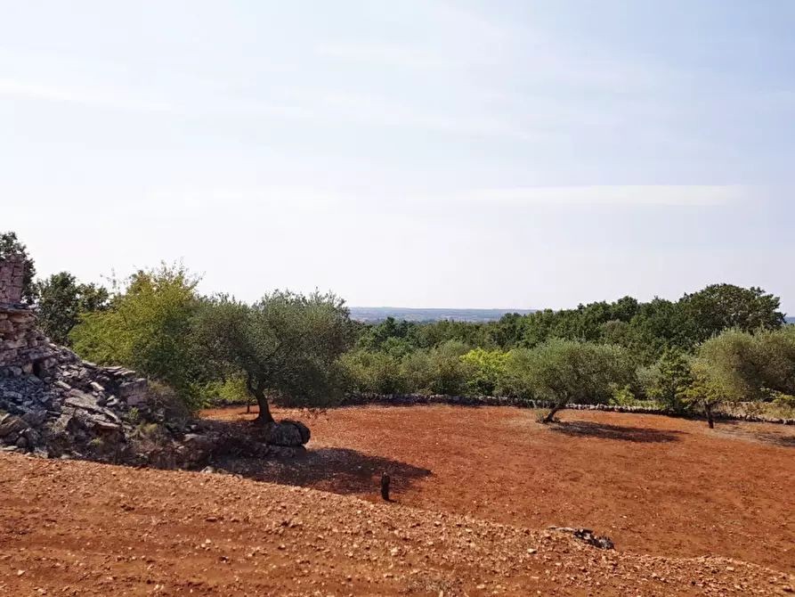 Immagine 7 di Rustico / casale in vendita  a Martina Franca