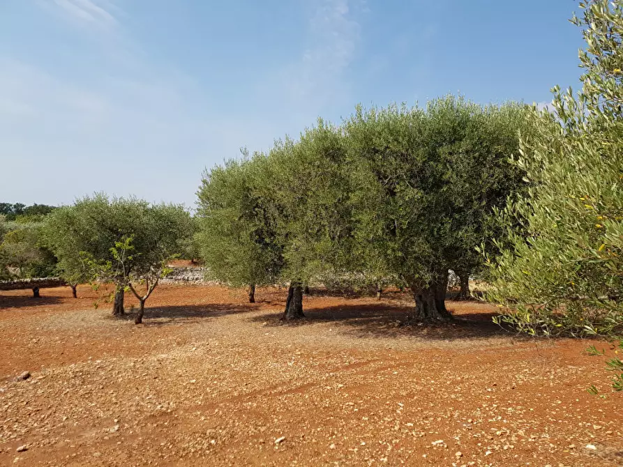 Immagine 8 di Rustico / casale in vendita  a Martina Franca