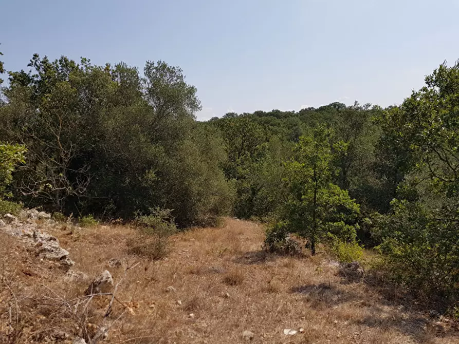 Immagine 9 di Rustico / casale in vendita  a Martina Franca