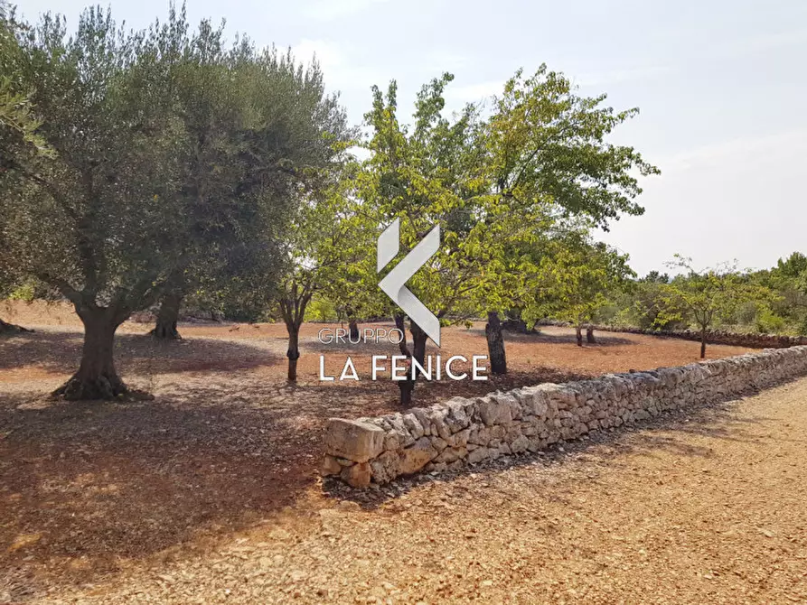 Immagine 11 di Rustico / casale in vendita  a Martina Franca