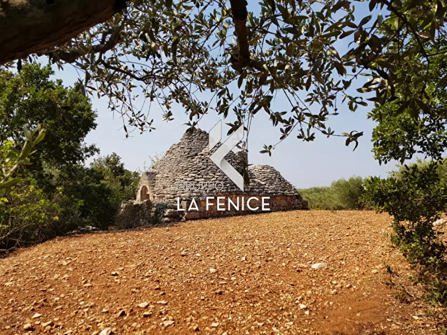 Immagine 14 di Rustico / casale in vendita  a Martina Franca