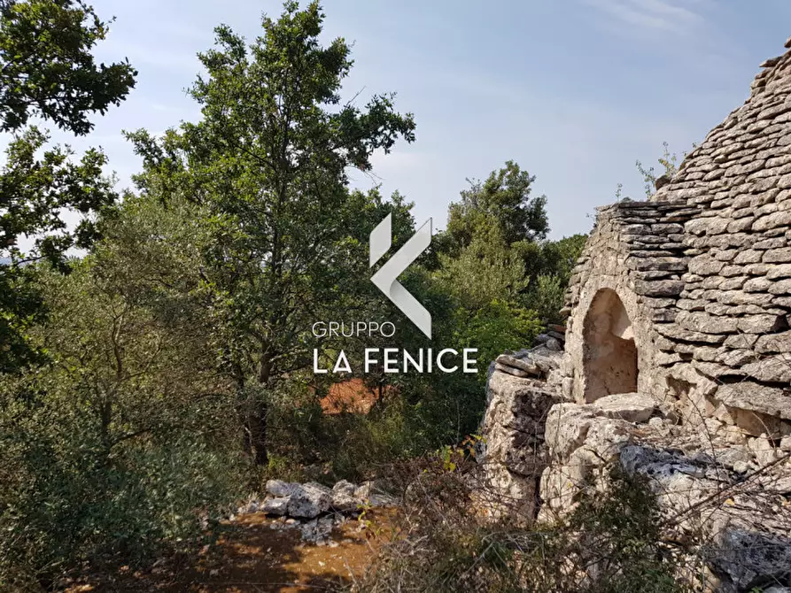 Immagine 15 di Rustico / casale in vendita  a Martina Franca