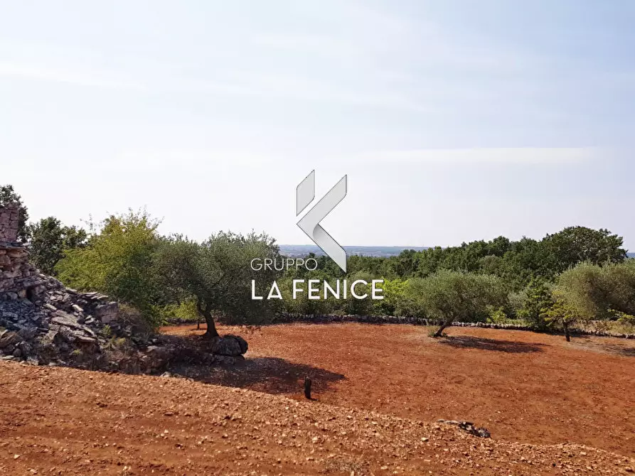 Immagine 16 di Rustico / casale in vendita  a Martina Franca