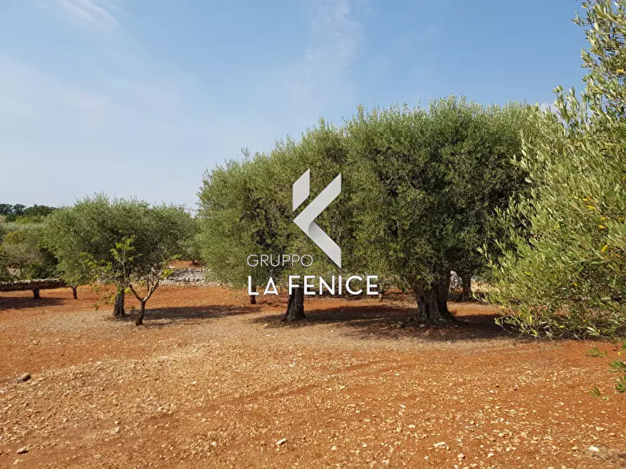 Immagine 17 di Rustico / casale in vendita  a Martina Franca