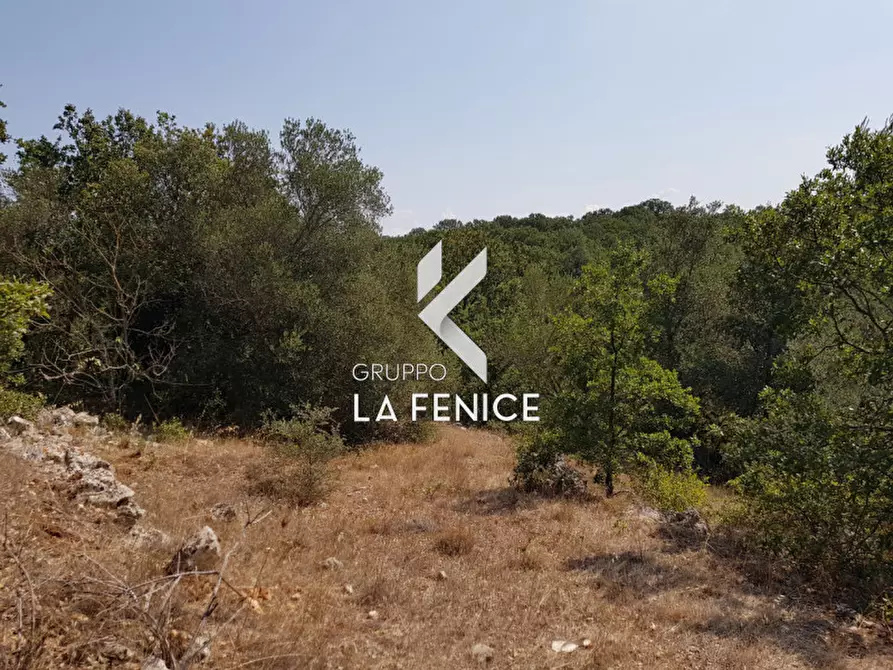 Immagine 18 di Rustico / casale in vendita  a Martina Franca