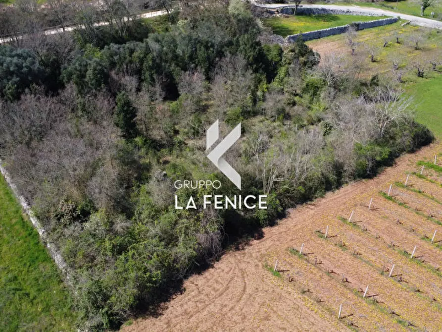 casa indipendente in vendita a Locorotondo