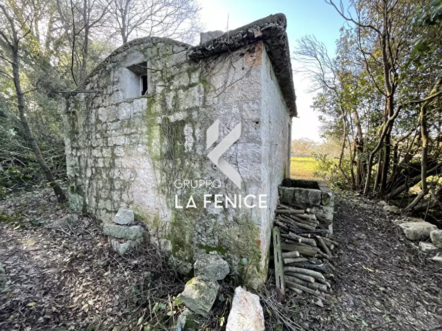 Immagine 3 di Rustico / casale in vendita  in contrada Lamie Affascinate a Locorotondo