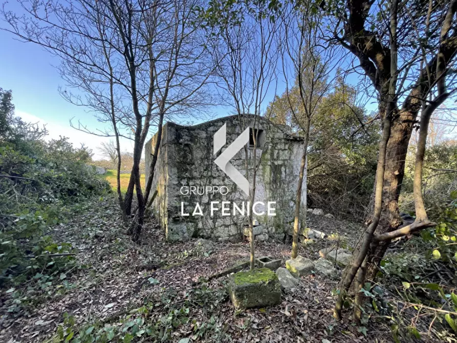 Immagine 4 di Rustico / casale in vendita  in contrada Lamie Affascinate a Locorotondo