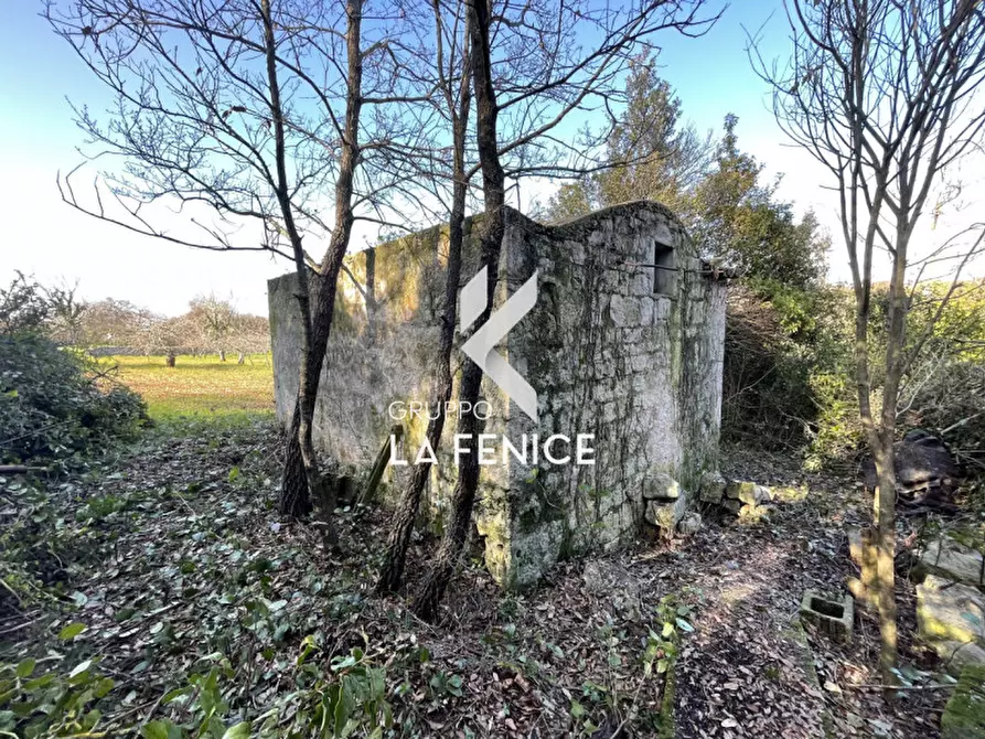 Immagine 5 di Rustico / casale in vendita  in contrada Lamie Affascinate a Locorotondo