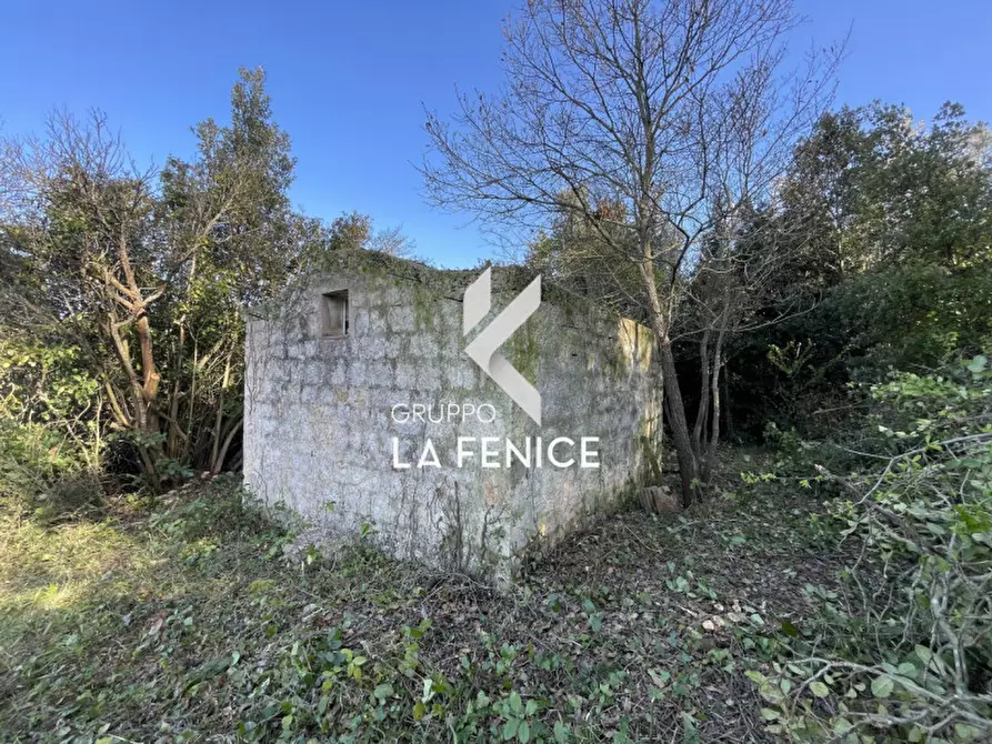 Immagine 8 di Rustico / casale in vendita  in contrada Lamie Affascinate a Locorotondo