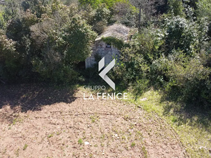 Immagine 15 di Rustico / casale in vendita  in contrada Lamie Affascinate a Locorotondo