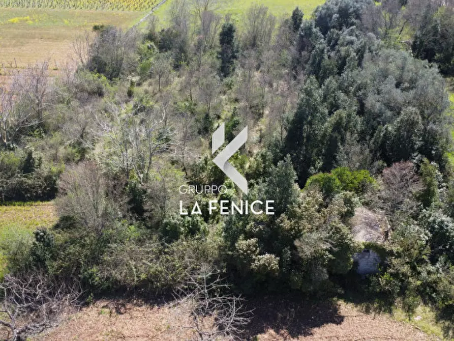 Immagine 17 di Rustico / casale in vendita  in contrada Lamie Affascinate a Locorotondo