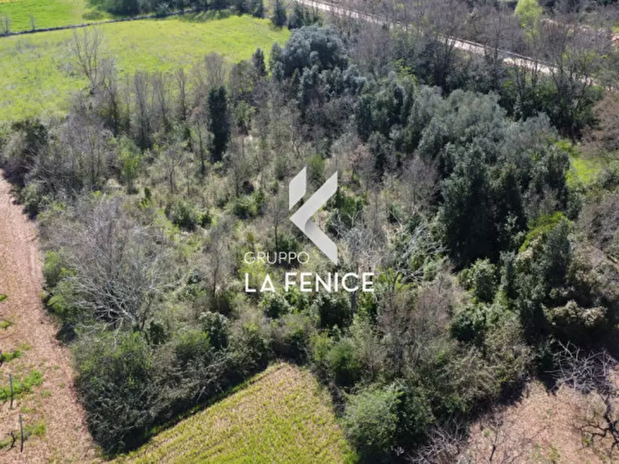 Immagine 18 di Rustico / casale in vendita  in contrada Lamie Affascinate a Locorotondo