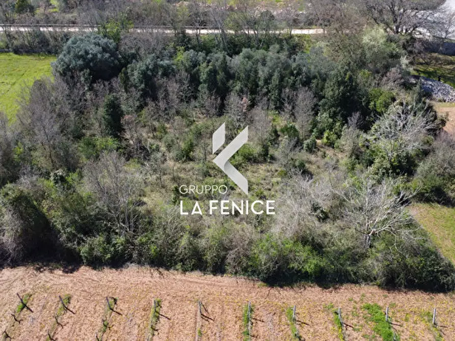 Immagine 19 di Rustico / casale in vendita  in contrada Lamie Affascinate a Locorotondo