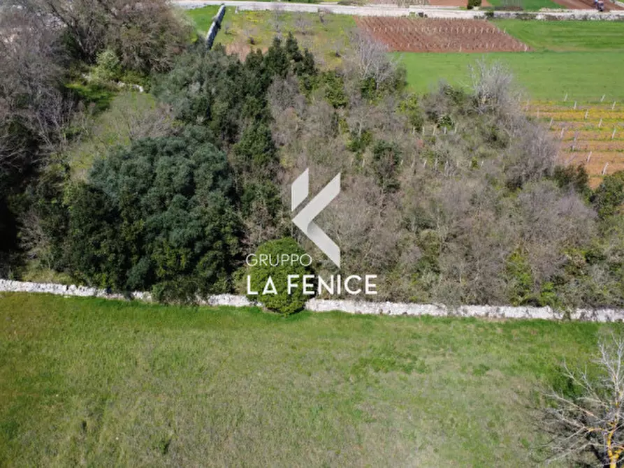 Immagine 20 di Rustico / casale in vendita  in contrada Lamie Affascinate a Locorotondo