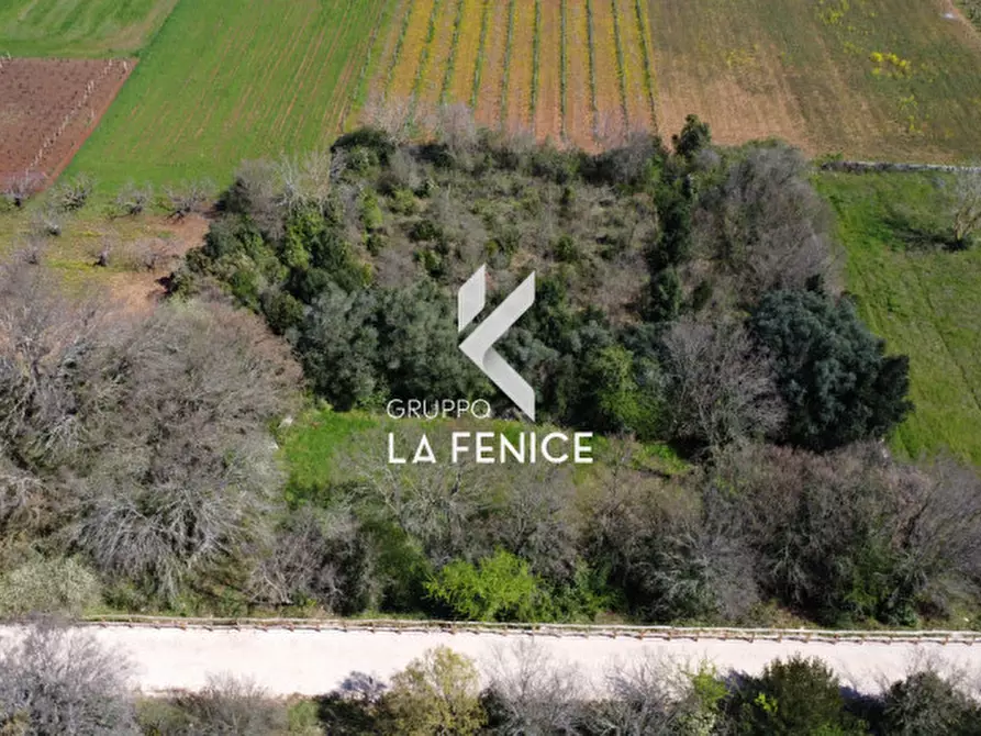 Immagine 22 di Rustico / casale in vendita  in contrada Lamie Affascinate a Locorotondo